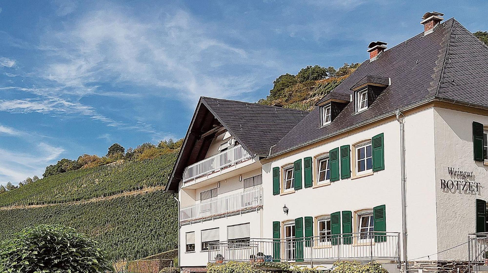 Ferienwohnung 1595 Im Weingut Botzet Maring-Noviand エクステリア 写真