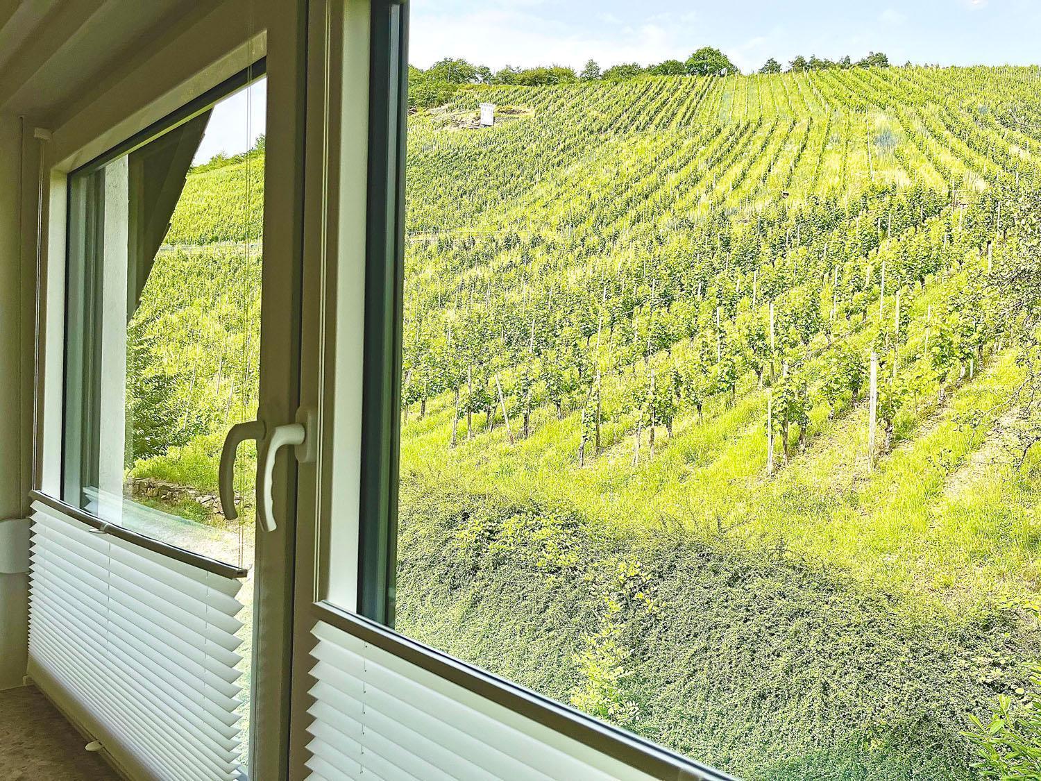 Ferienwohnung 1595 Im Weingut Botzet Maring-Noviand エクステリア 写真